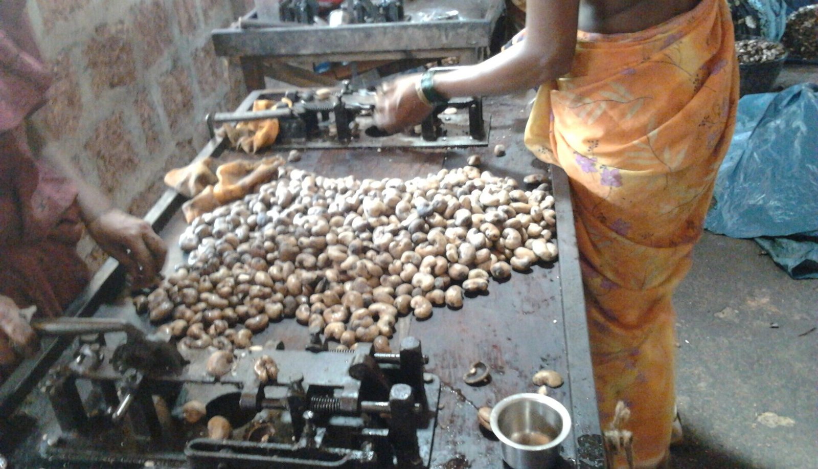 Workers processing cashew nuts at a shelling table