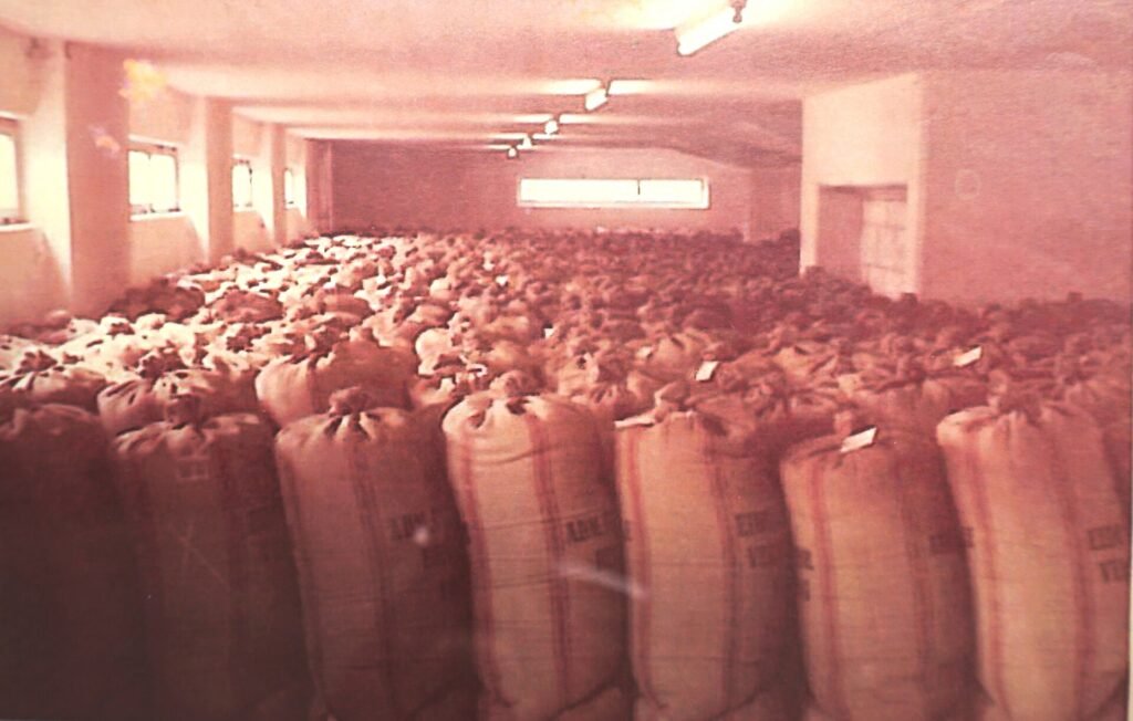 Bagged cargo stacked in a warehouse
