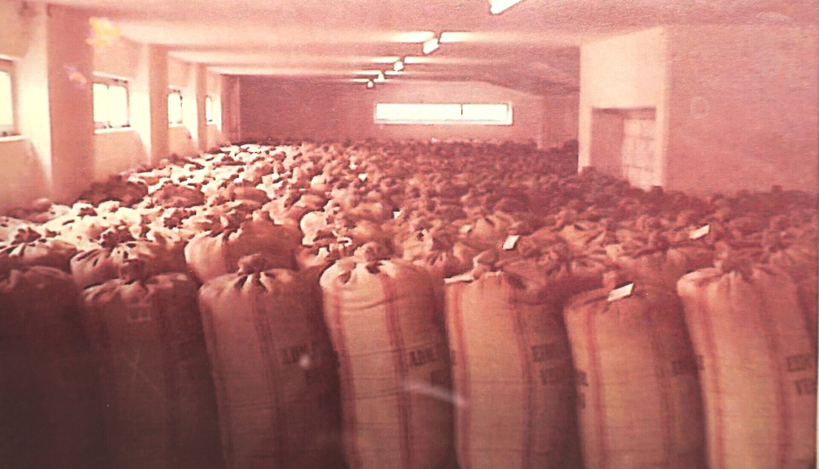 Bagged cargo stacked in a warehouse