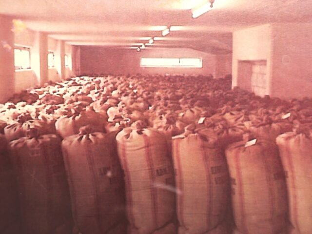 Bagged cargo stacked in a warehouse