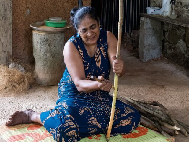 Cinnamon bark being peeled by hand