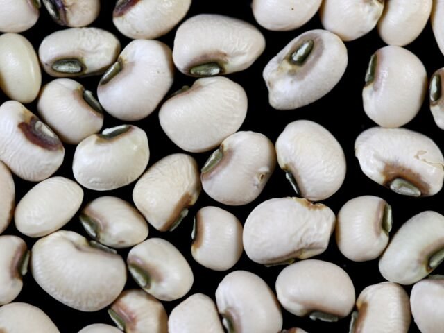 Dried blackeye beans in bulk
