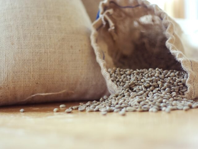 Green arabica coffee beans spilling from a jute sack