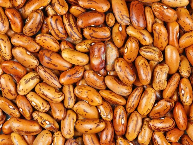 Light speckled kidney beans in bulk