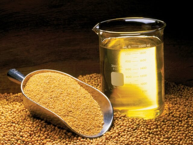 Soybean oil in a beaker beside soybeans