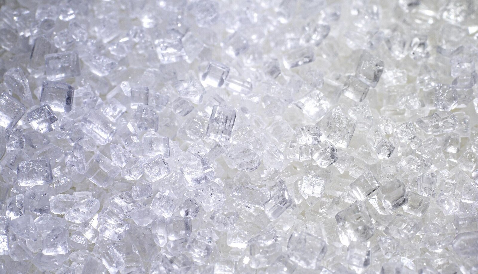 White refined sugar crystals
